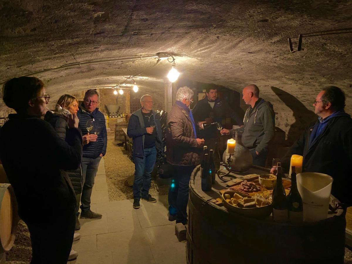 Chateau Des Janroux Julienas Bagian luar foto