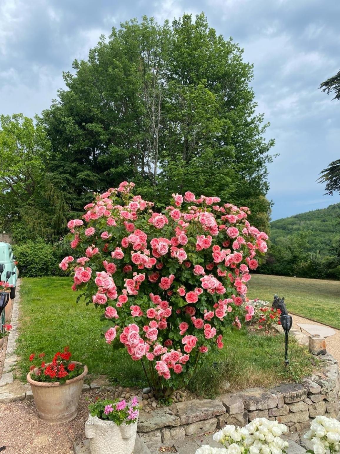Chateau Des Janroux Julienas Bagian luar foto