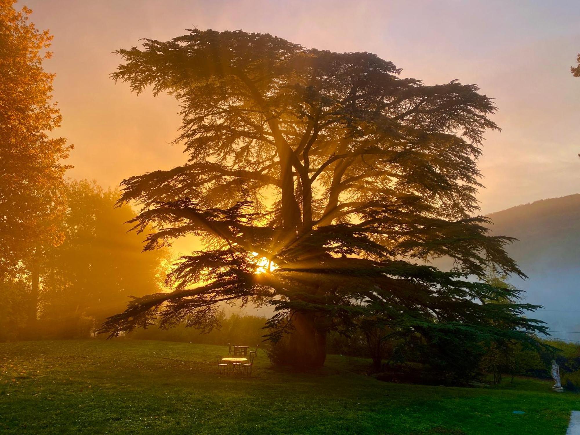 Chateau Des Janroux Julienas Bagian luar foto
